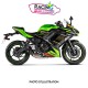 Db killer | Chicane | Sourdine Akrapovic Kawasaki Z650 | Ninja 650 2017-2022